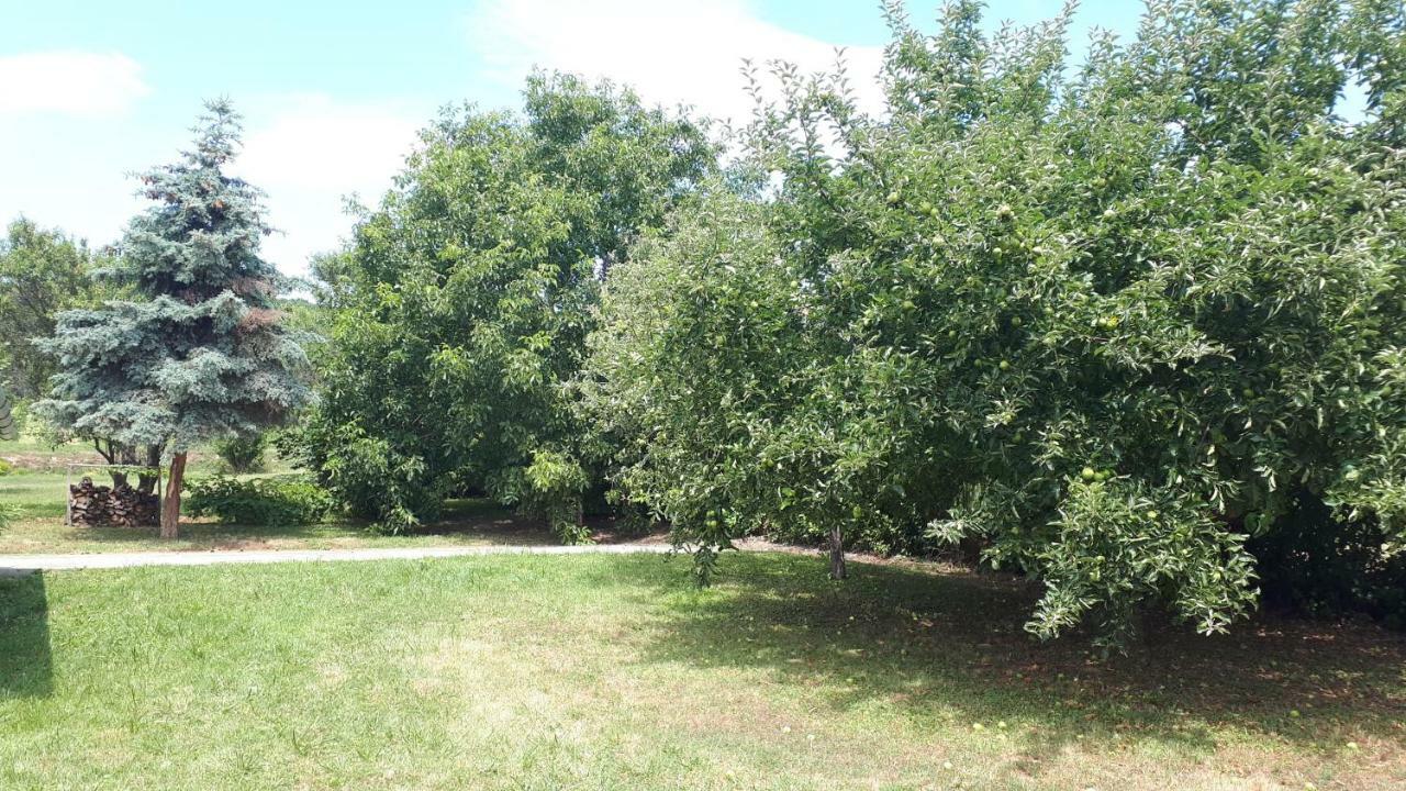 Kali 120 Villa Tagyon Dış mekan fotoğraf
